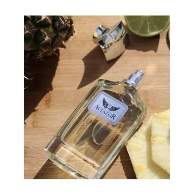 Pendora Scents Aviator