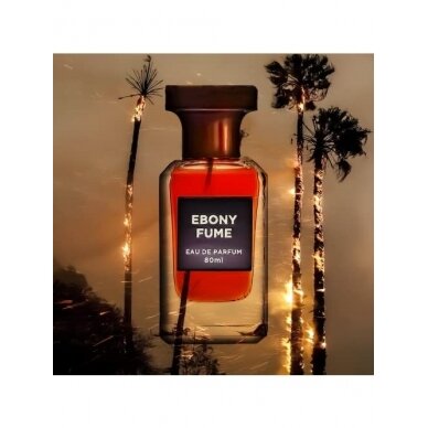 Ebony Fume (Том Форд Эбене Фьюм) Арабский парфюм 2
