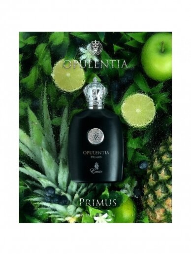 Arabskie perfumy Emir Opulentia Primus (Creed Aventus).
