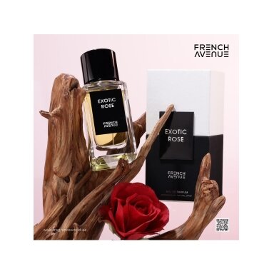 French Avenue Exotic Rose