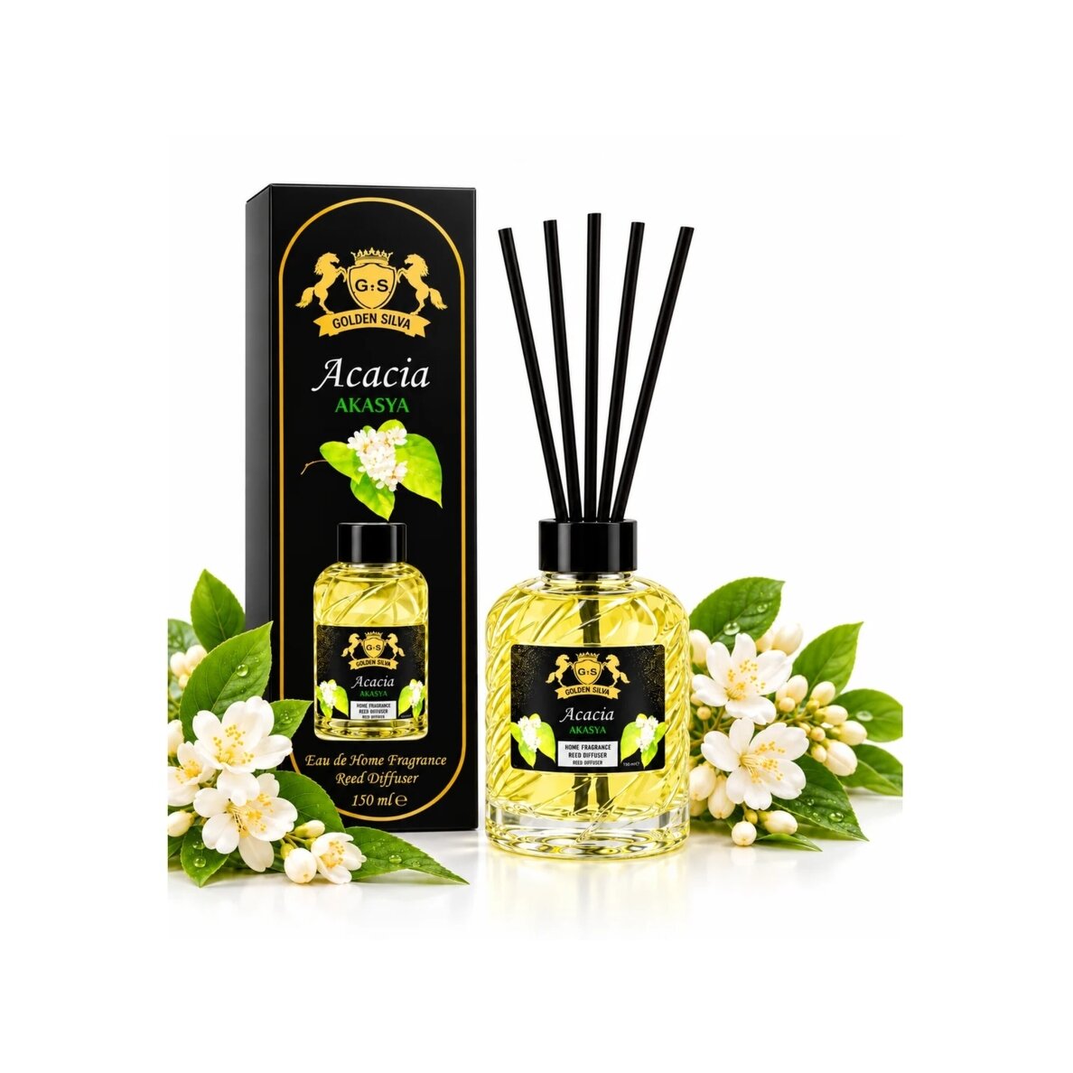 Golden Silva Acacia