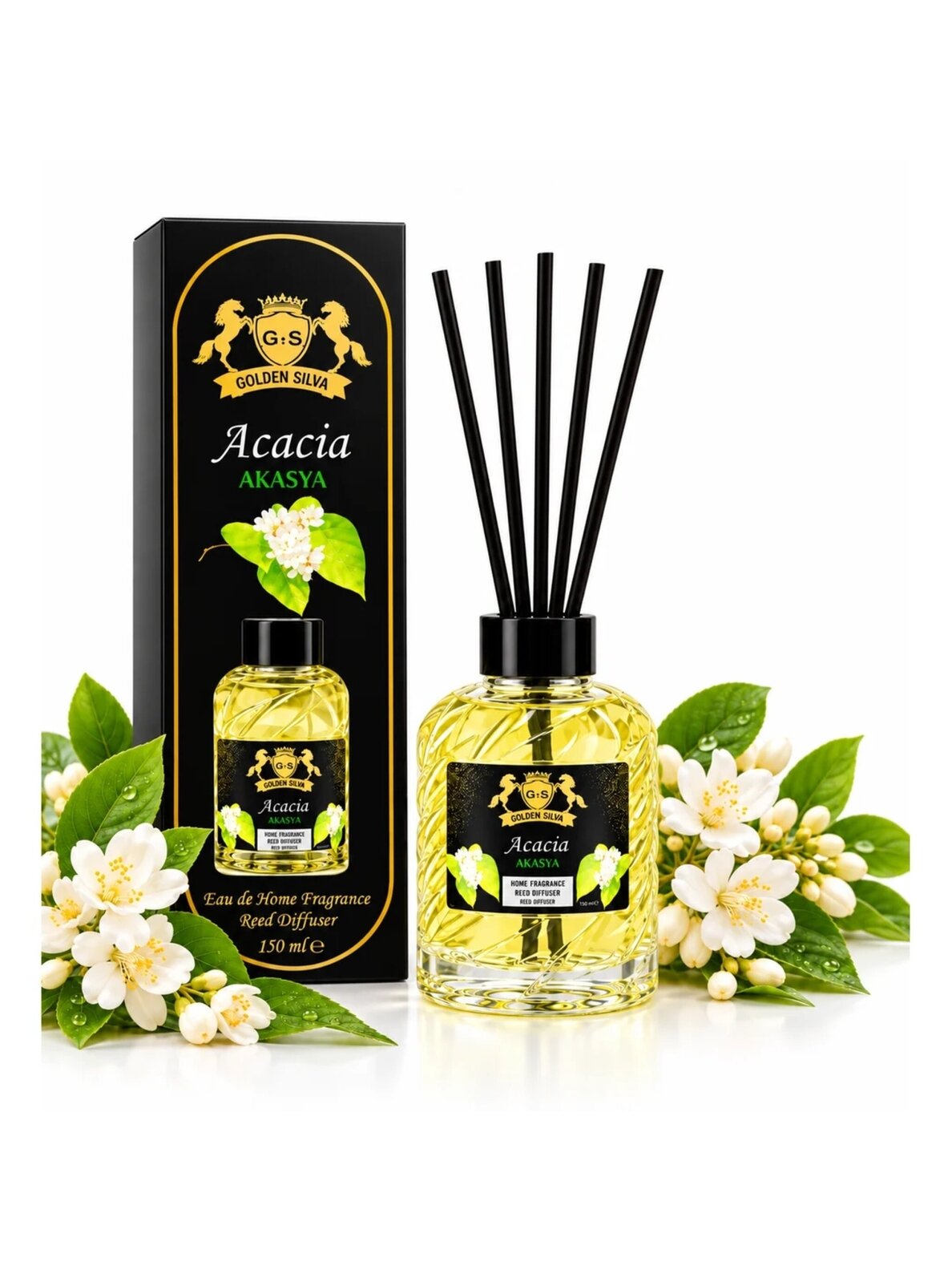 Golden Silva Acacia