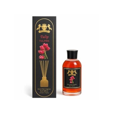 Golden Silva Tulip