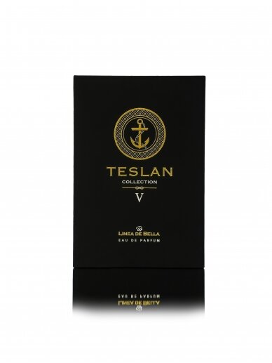 Teslan V