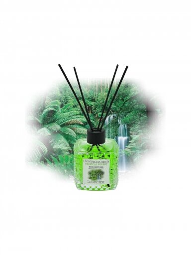 Tropical Forest